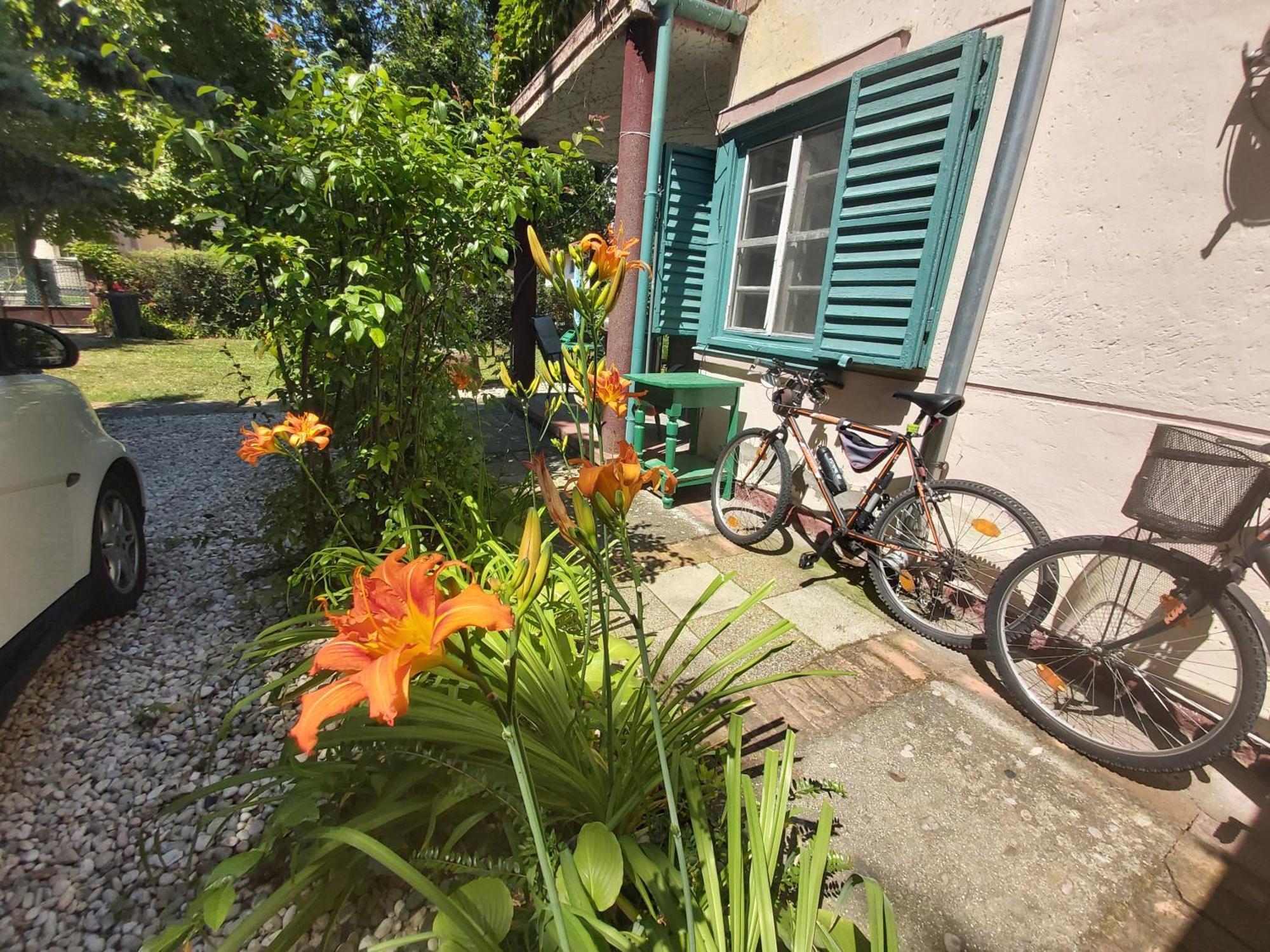Zen Garden Budha Relax Apartman, parking, BBQ, terrace Siofok Bagian luar foto