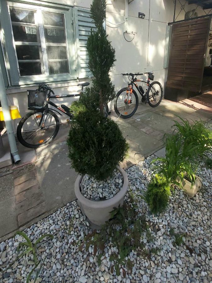 Zen Garden Budha Relax Apartman, parking, BBQ, terrace Siofok Bagian luar foto