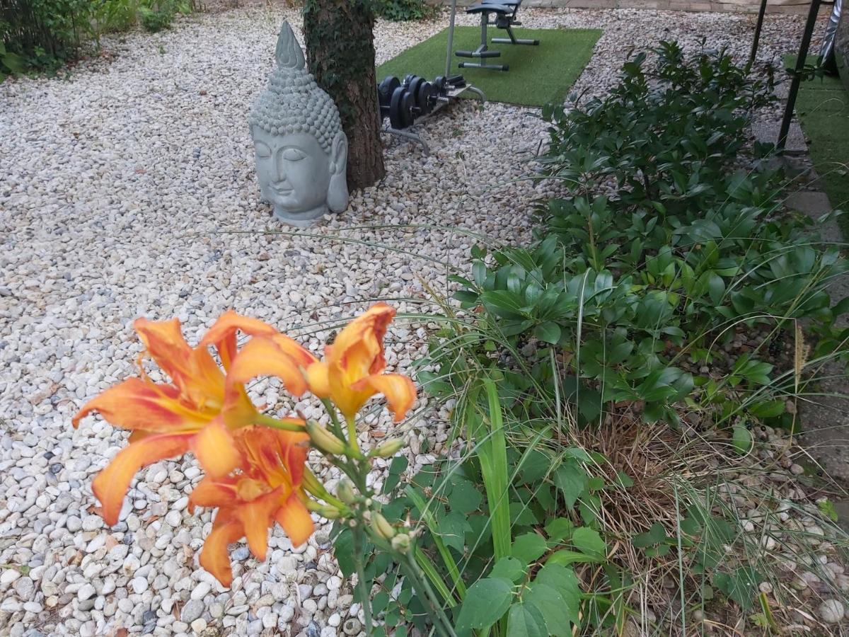 Zen Garden Budha Relax Apartman, parking, BBQ, terrace Siofok Bagian luar foto