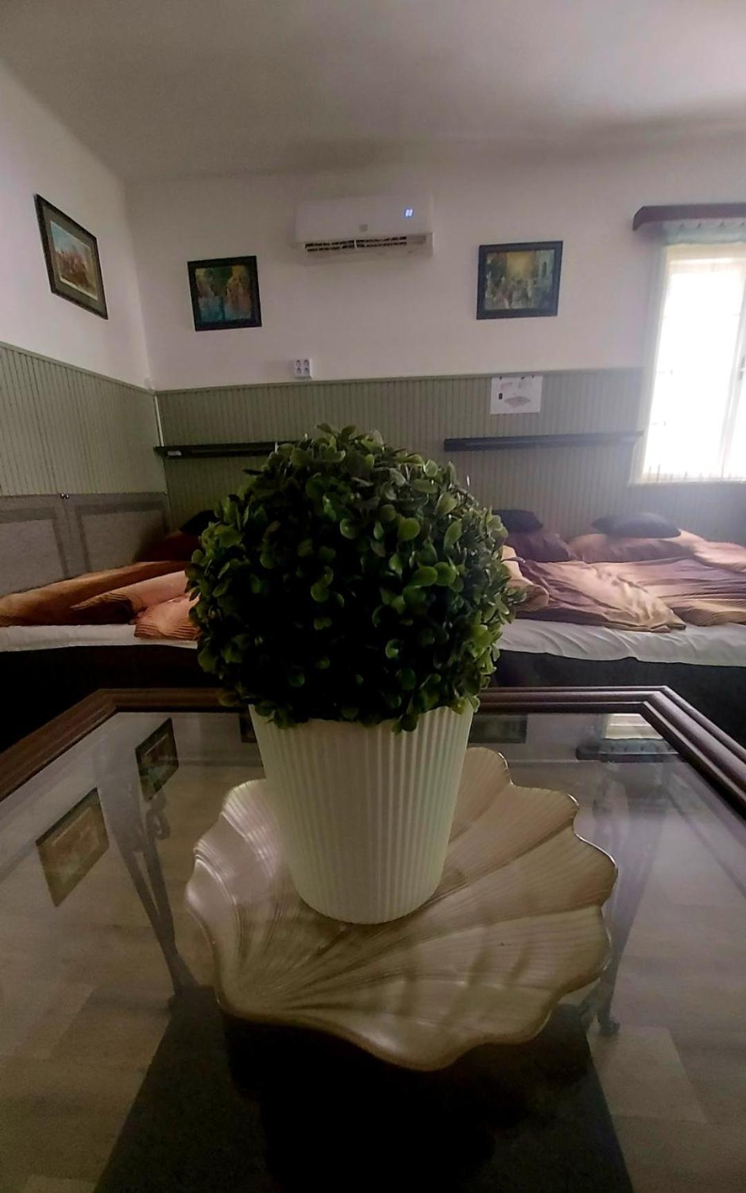 Zen Garden Budha Relax Apartman, parking, BBQ, terrace Siofok Bagian luar foto